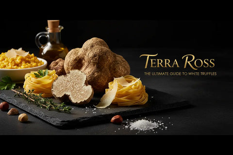 The Ultimate Guide to White Truffles: Origin, Flavor & Culinary Uses 2026 Terra Ross