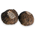 Fresh Black Truffle - Tuber indicum (B Grade) Terra Ross