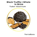 Whole black truffles in brine for slicing, grating and professional preparation