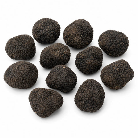Small fresh Black Summer Truffles – Tuber aestivum B Grade