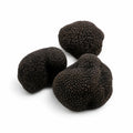 Whole fresh Tuber uncinatum Burgundy Truffles selected as EXTRA Grade