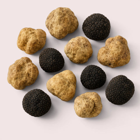 Selection of seasonal fresh European black and white truffles