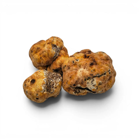 Whole fresh Tuber borchii EXTRA Grade truffles selected in approximately 15–50 g individual sizes