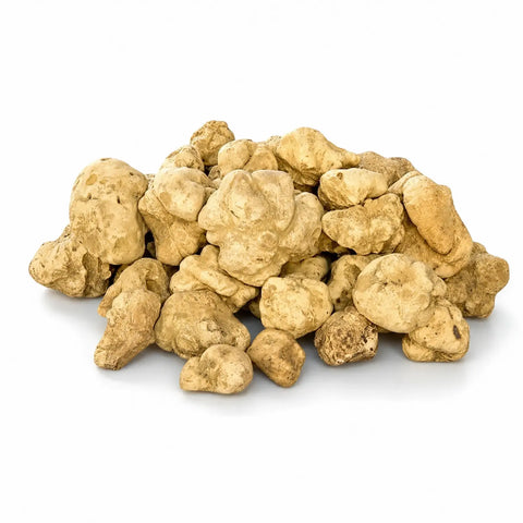 Fresh huge-size Tuber magnatum white truffles with naturally irregular pale ochre surfaces