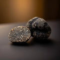 Fresh Tuber melanosporum EXTRA Grade selection showing natural variation in size and shape