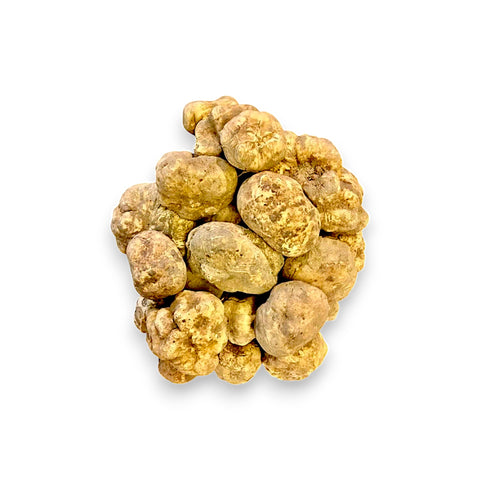 showing image of fresh white truffle in collection