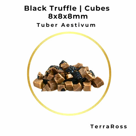 Summer Truffle Cubes 8 × 8 × 8 mm in Brine
