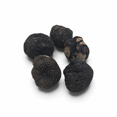 Whole and cut Tuber brumale Black Winter Truffles showing naturally rough dark surfaces and marbled interiors
